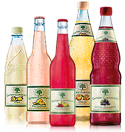 5 Sorten Bad Brambacher Gartenlimonaden