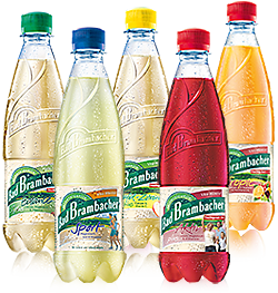 5 Sorten Bad Brambacher Vita-Mineral